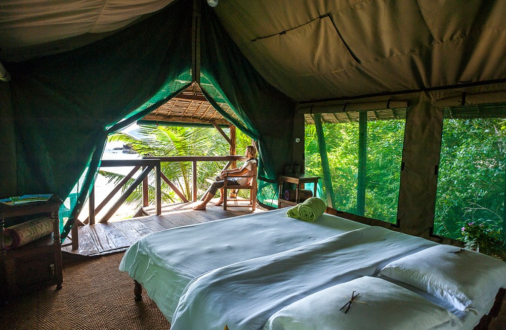 Interior of an elevated treehouse at Masoala Forest Lodge opening onto the rainforest canopy, Madagascar
