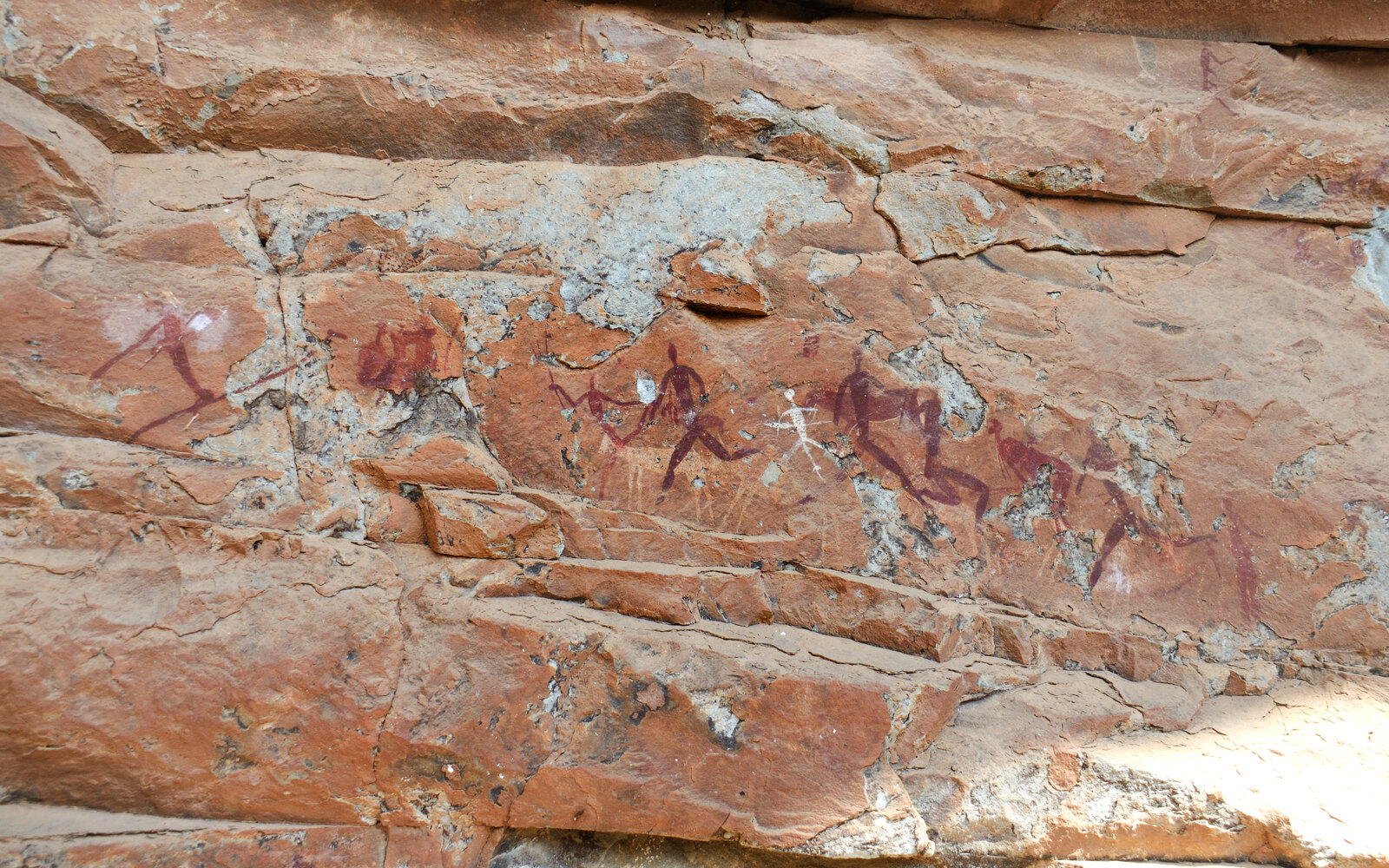 Ancient San rock-art panel on sandstone in the Cederberg