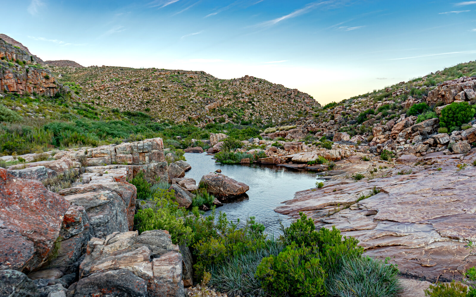 Wide protected conservation landscape of a Western Cape reserve