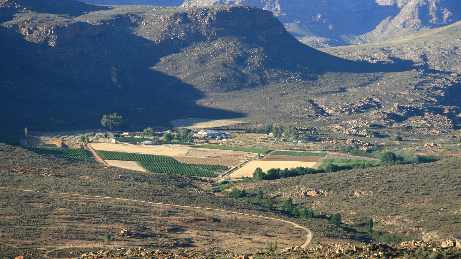 Western Cape Safari Packages: How to Combine Cape Town, the Winelands & a Malaria-Free Reserve