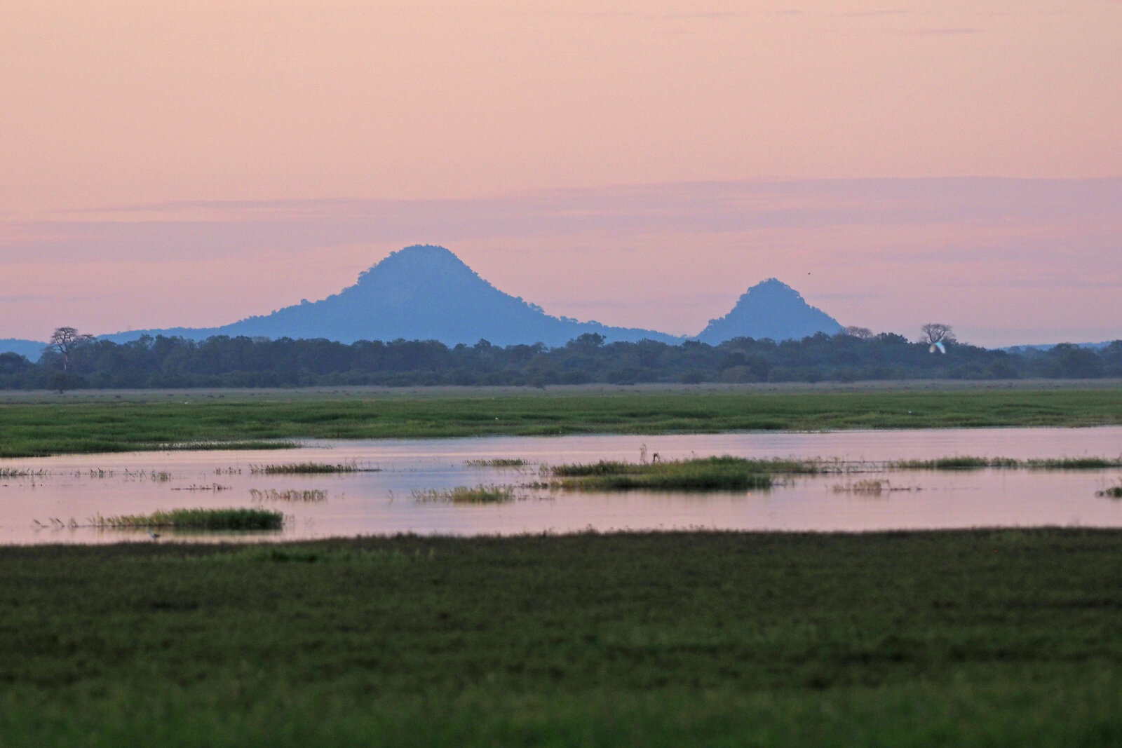 Wetlands and floodplains of central Mozambique's Rift Valley at dusk — the kind of riverine habitat that draws Zinave's game to water in the dry season