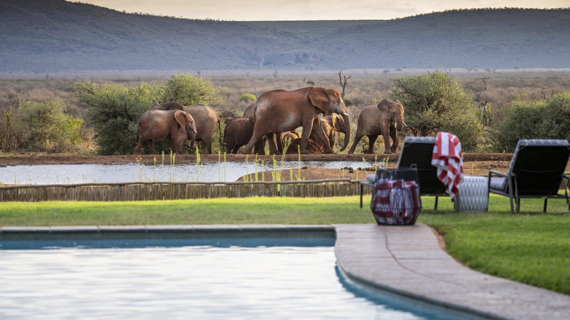 Madikwe Safari Lodge, the More family's flagship four-camp property