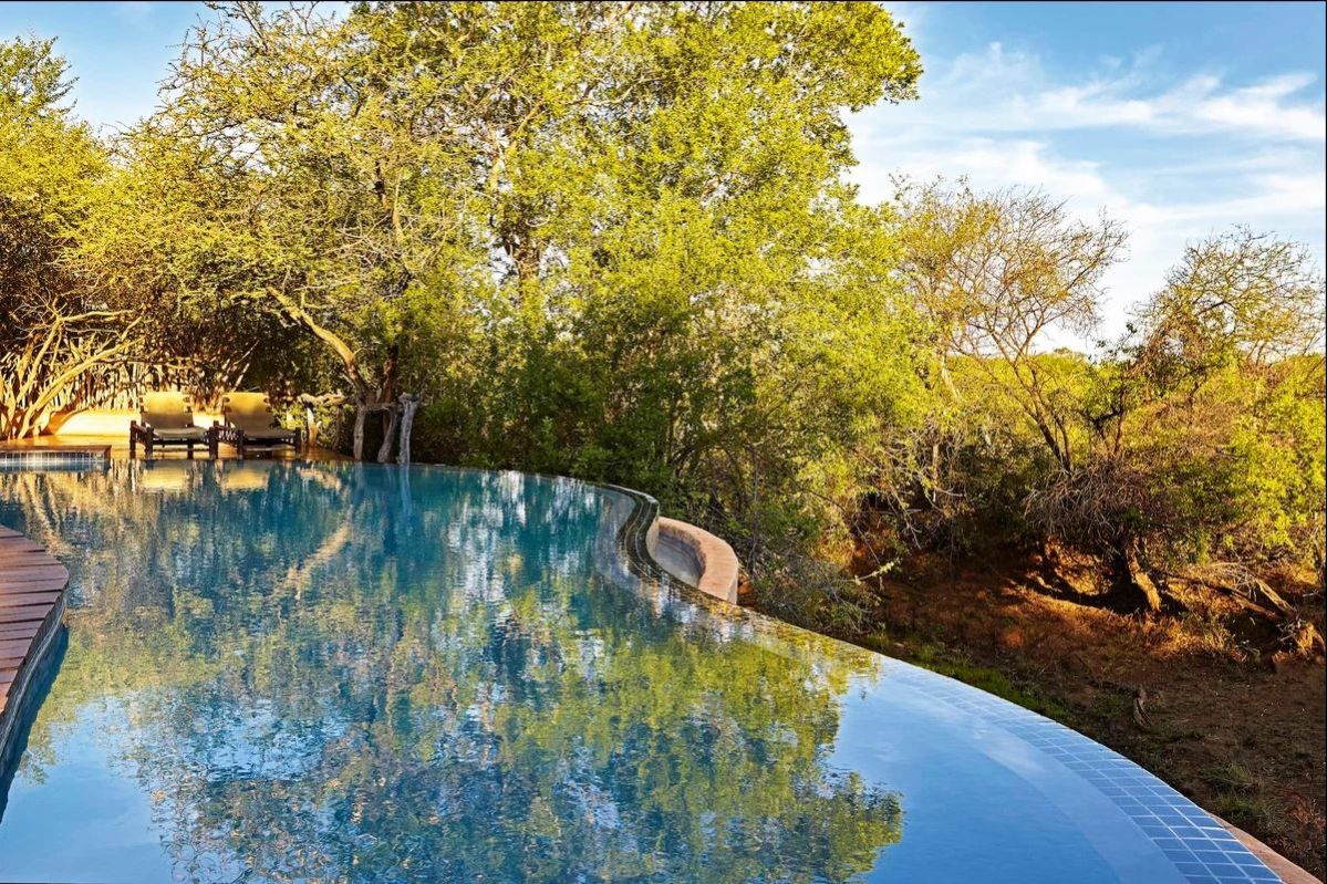 Sanctuary Makanyane Safari Lodge infinity pool in riverine forest
