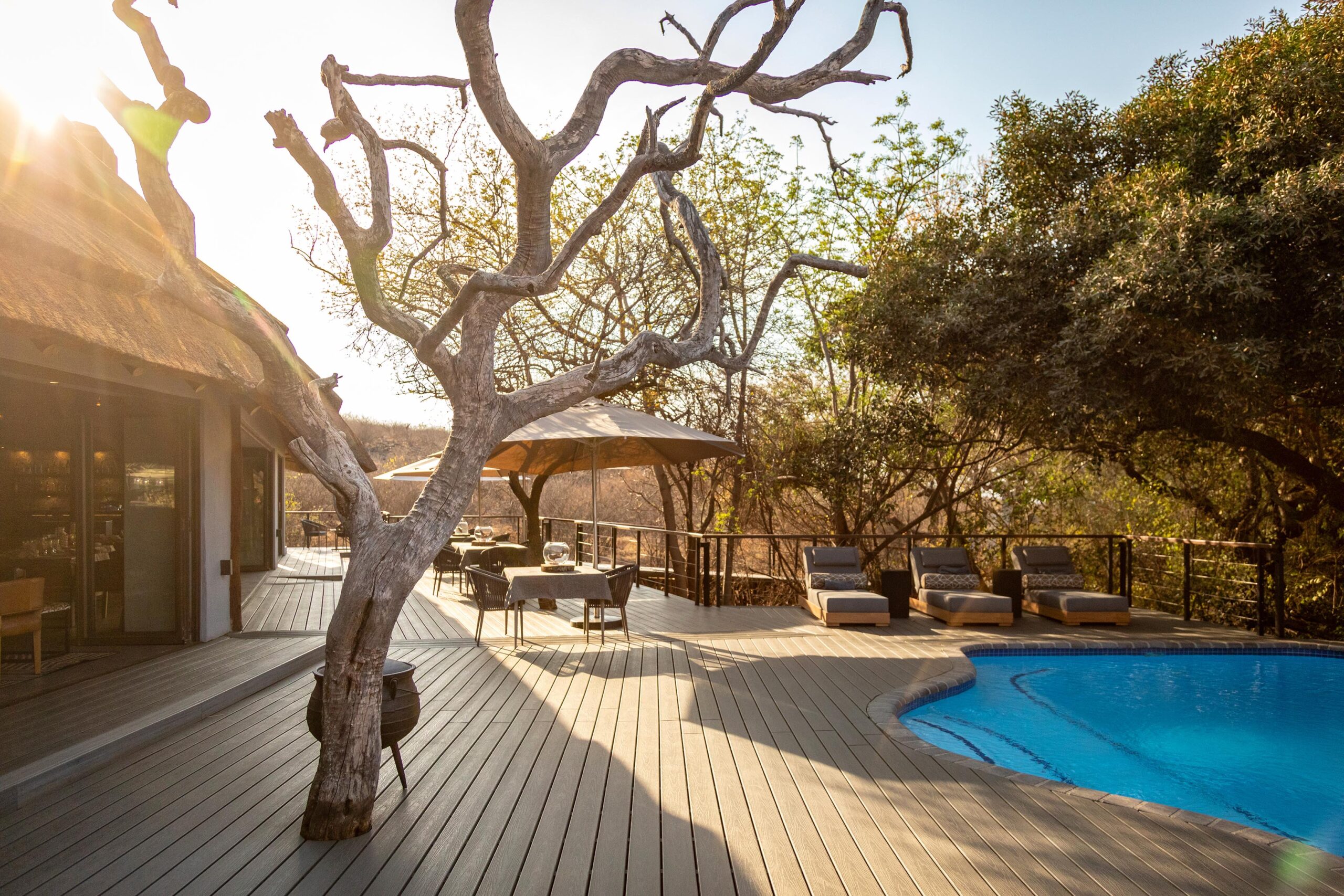Tuningi Safari Lodge, family-friendly luxury lodge in Madikwe