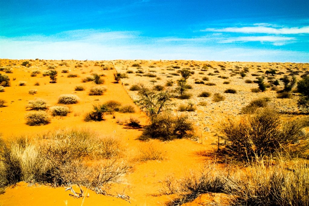 The Kalahari Desert
