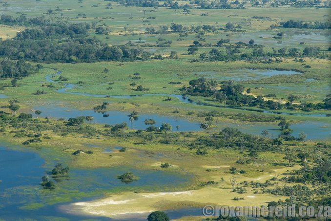 The Okavango Delta