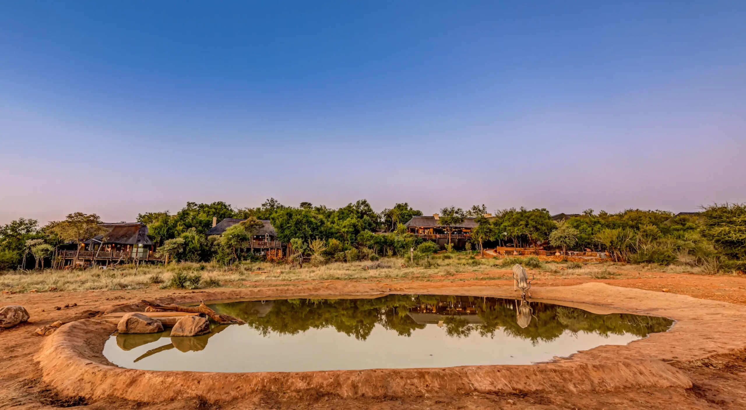 Etali Safari Lodge's private waterhole shimmering in front of the main deck at golden hour, deep in the malaria-free Madikwe Game Reserve