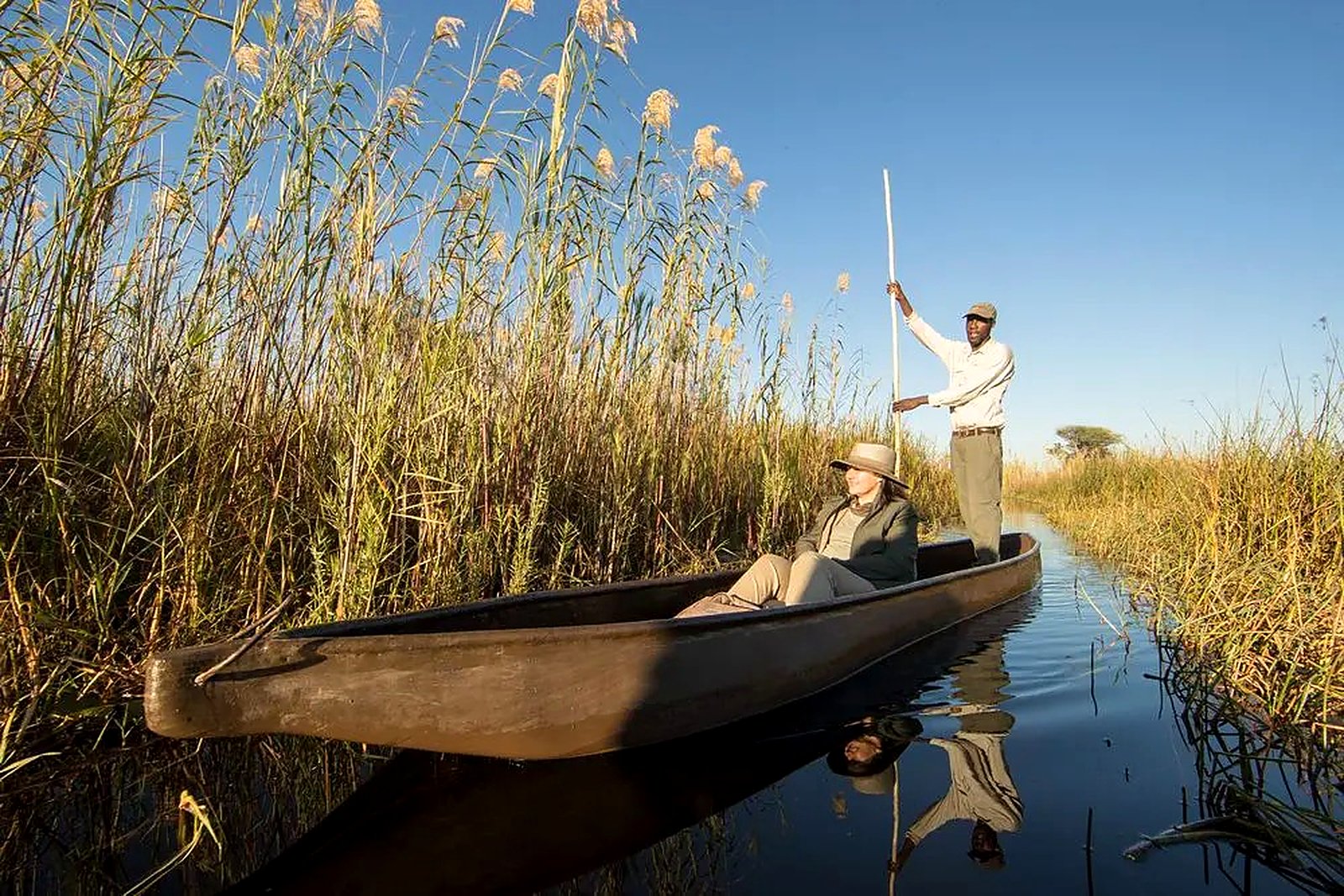 Mokoro poling through Okavango Delta channels on a family safari