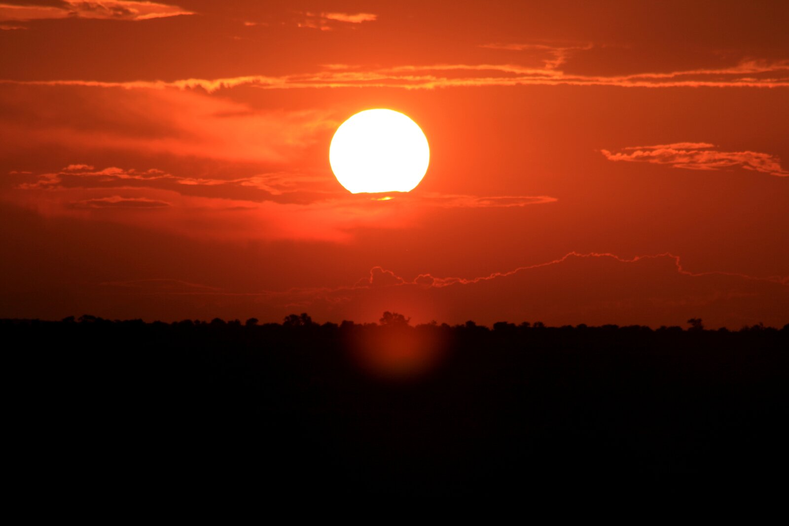 The lowveld bushveld glowing at first light