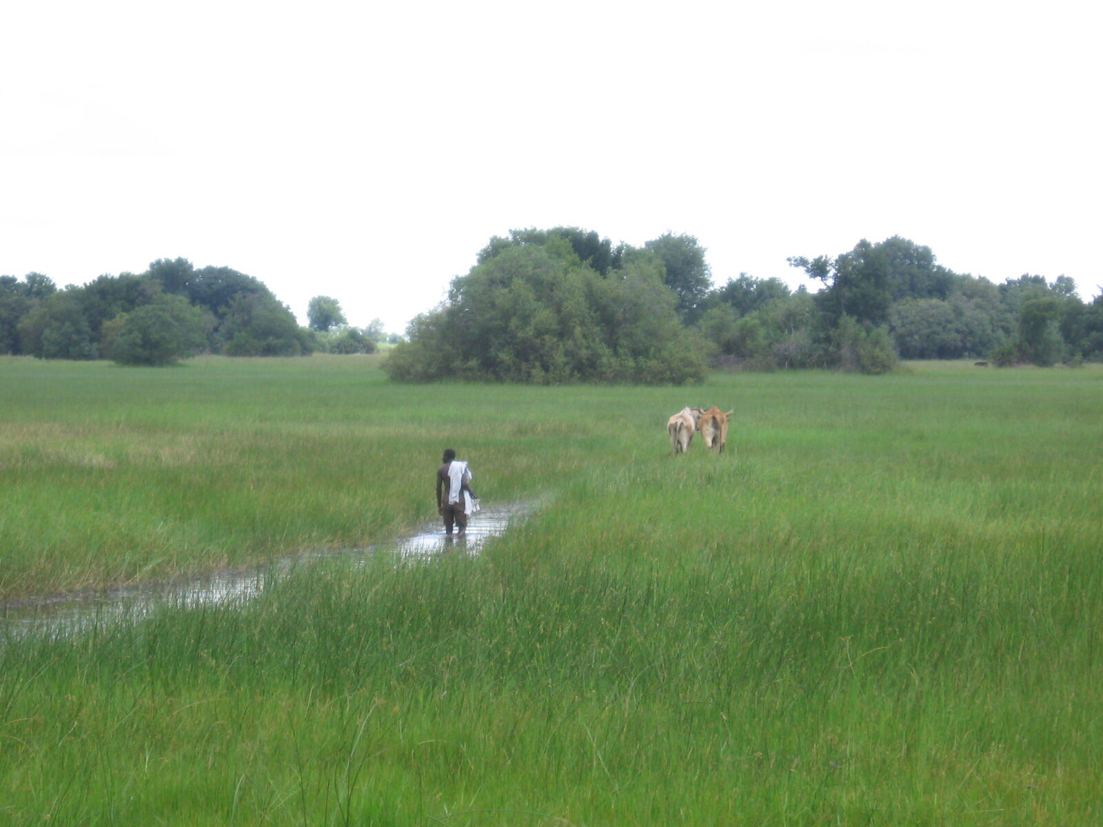 A shaded community campsite beside the water in the Okavango region