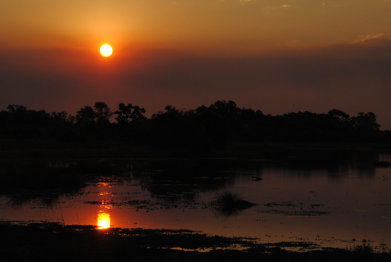 A dramatic sunset over Moremi Game Reserve in the Okavango Delta