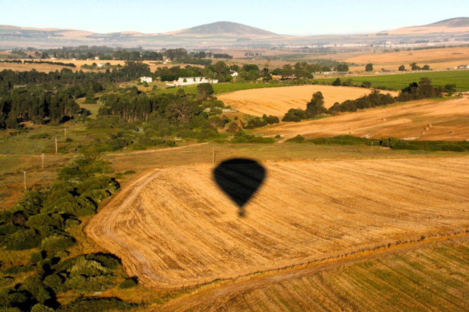A hot-air balloon drifting over golden Winelands farmland at sunrise