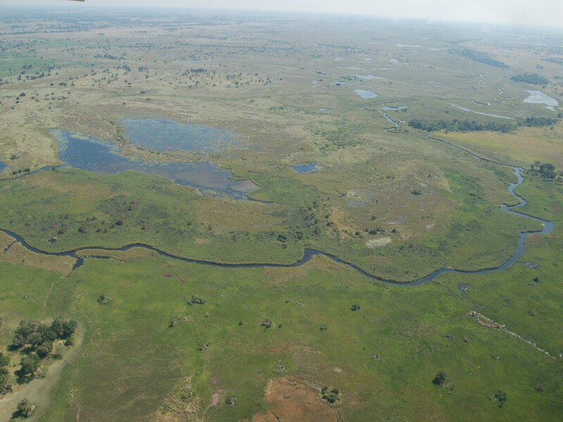 Aerial view of the Okavango Delta’s intricate channel system