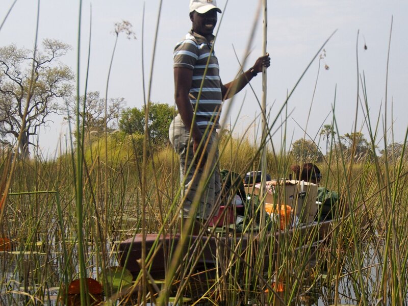 Mokoro safari gliding through papyrus channels at Moremi Crossing