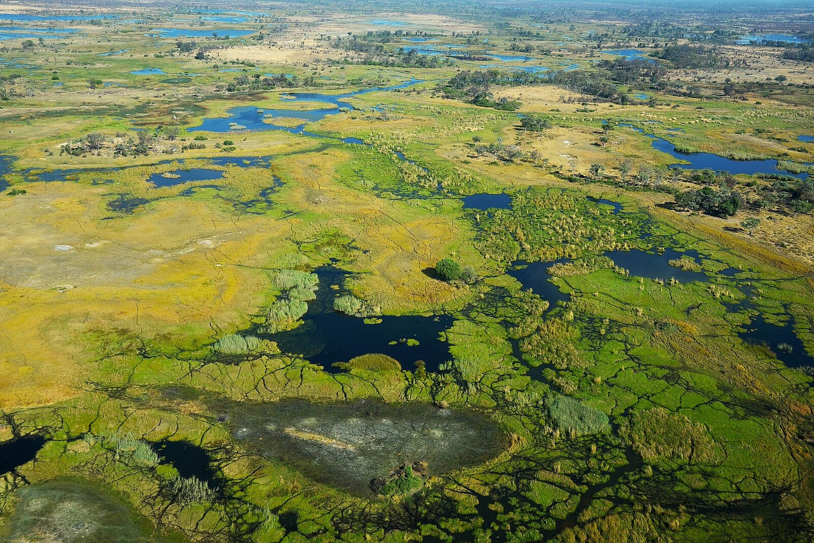 Aerial view of the Okavango Delta, Botswana