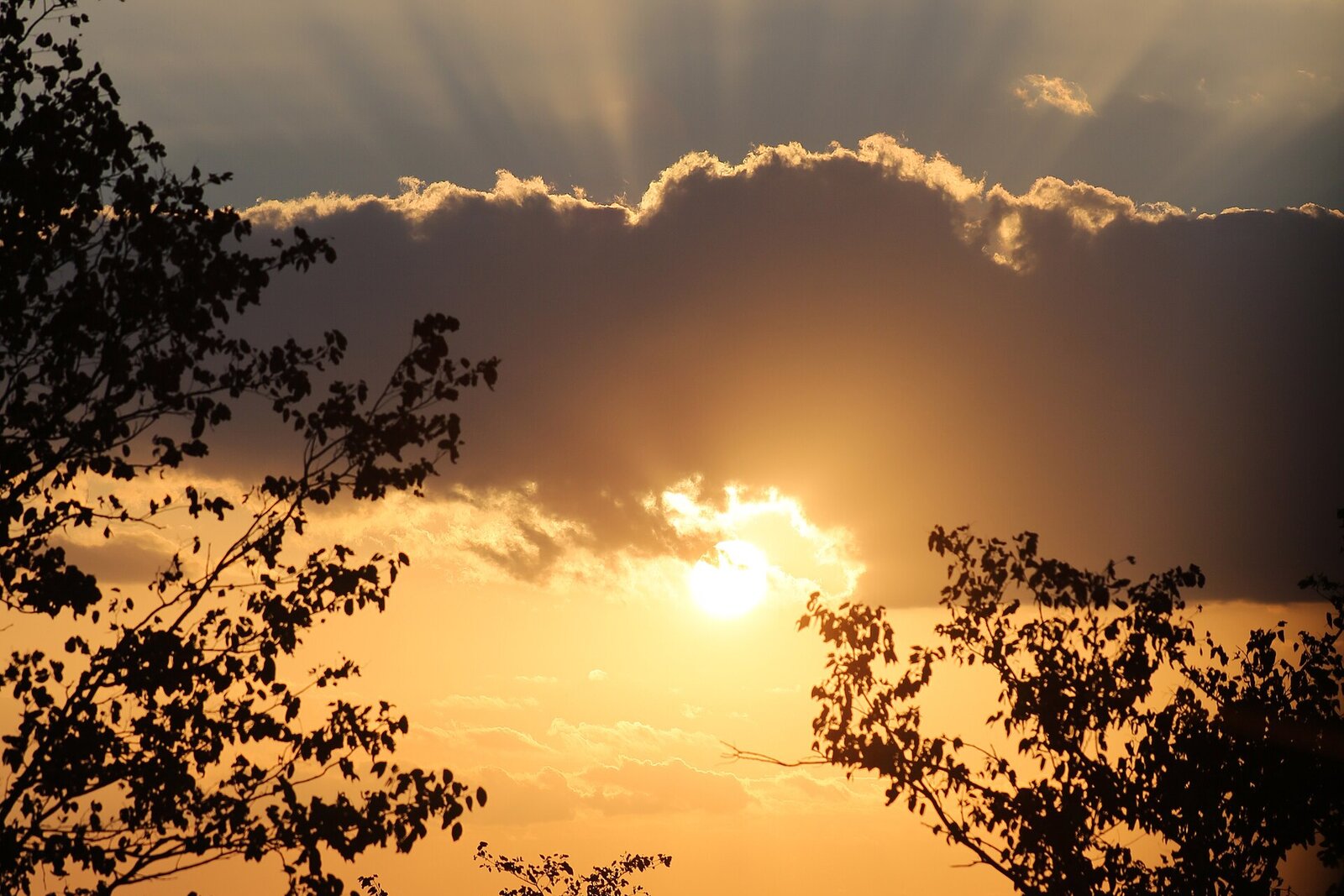Dramatic sunset over the African savanna