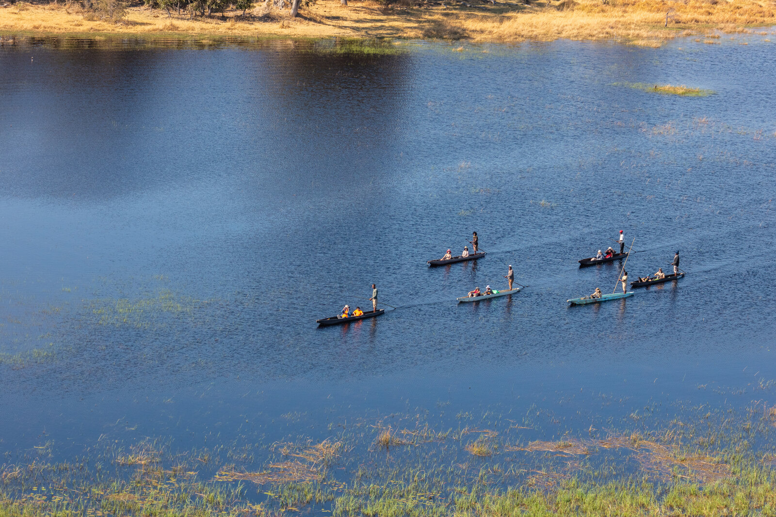 Aerial view of the Okavango Delta, Botswana