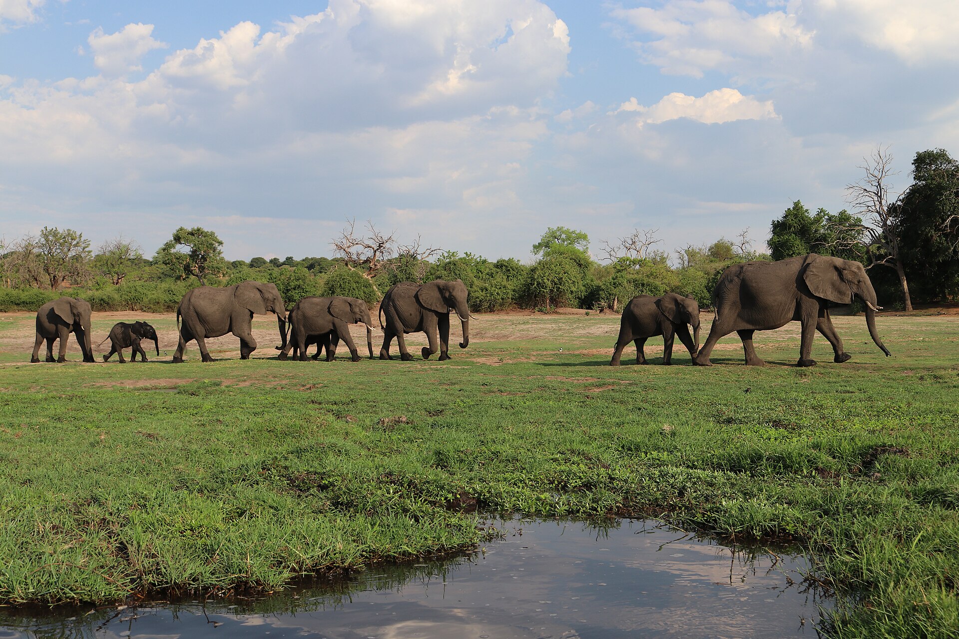 Singita Lebombo — Kruger, South Africa — Beyond Africa Safaris