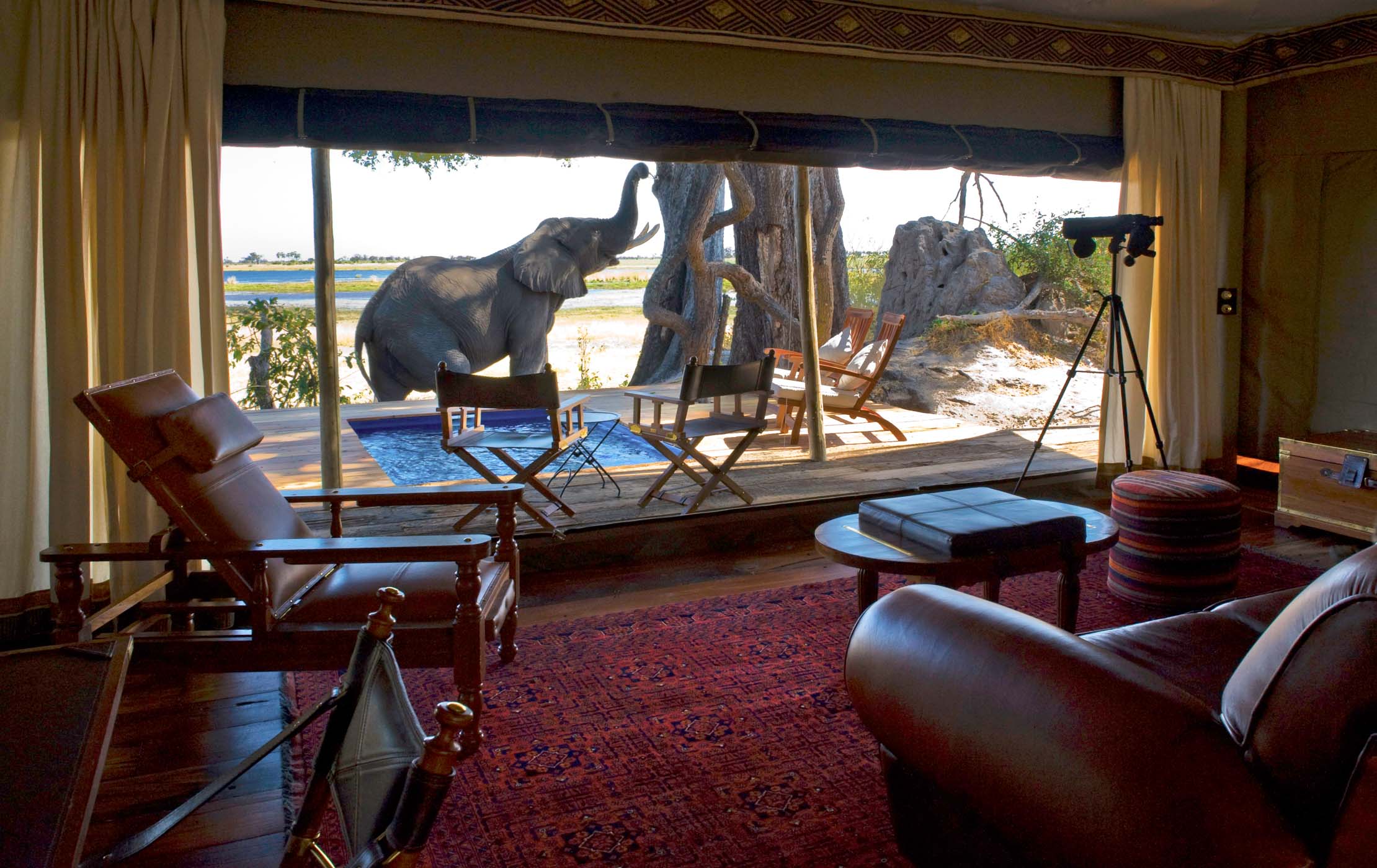 A view over the Zibadianja Lagoon from Zarafa Camp
