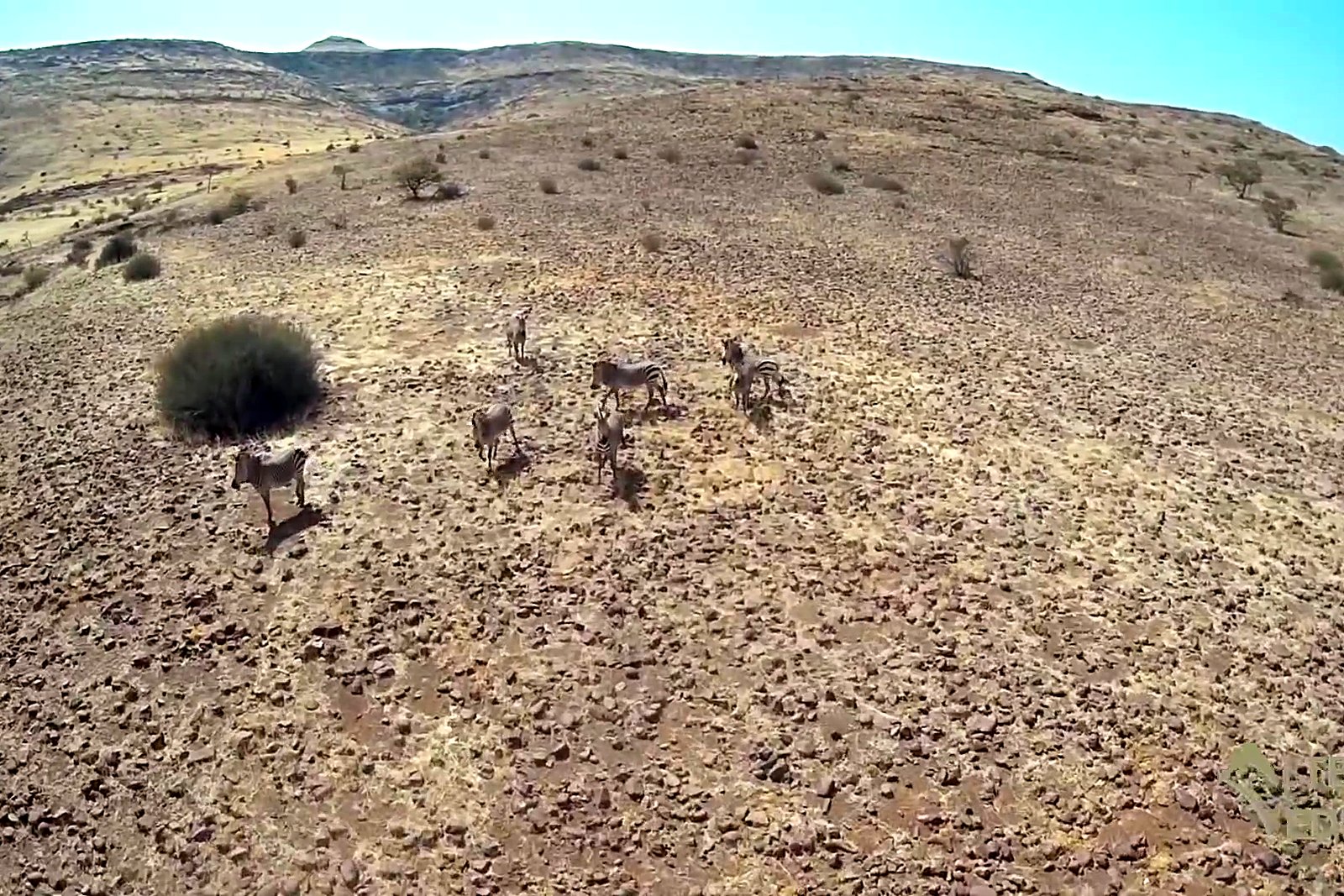 Ancient rock formations and vast open plains of Damaraland on an all-inclusive Namibia safari