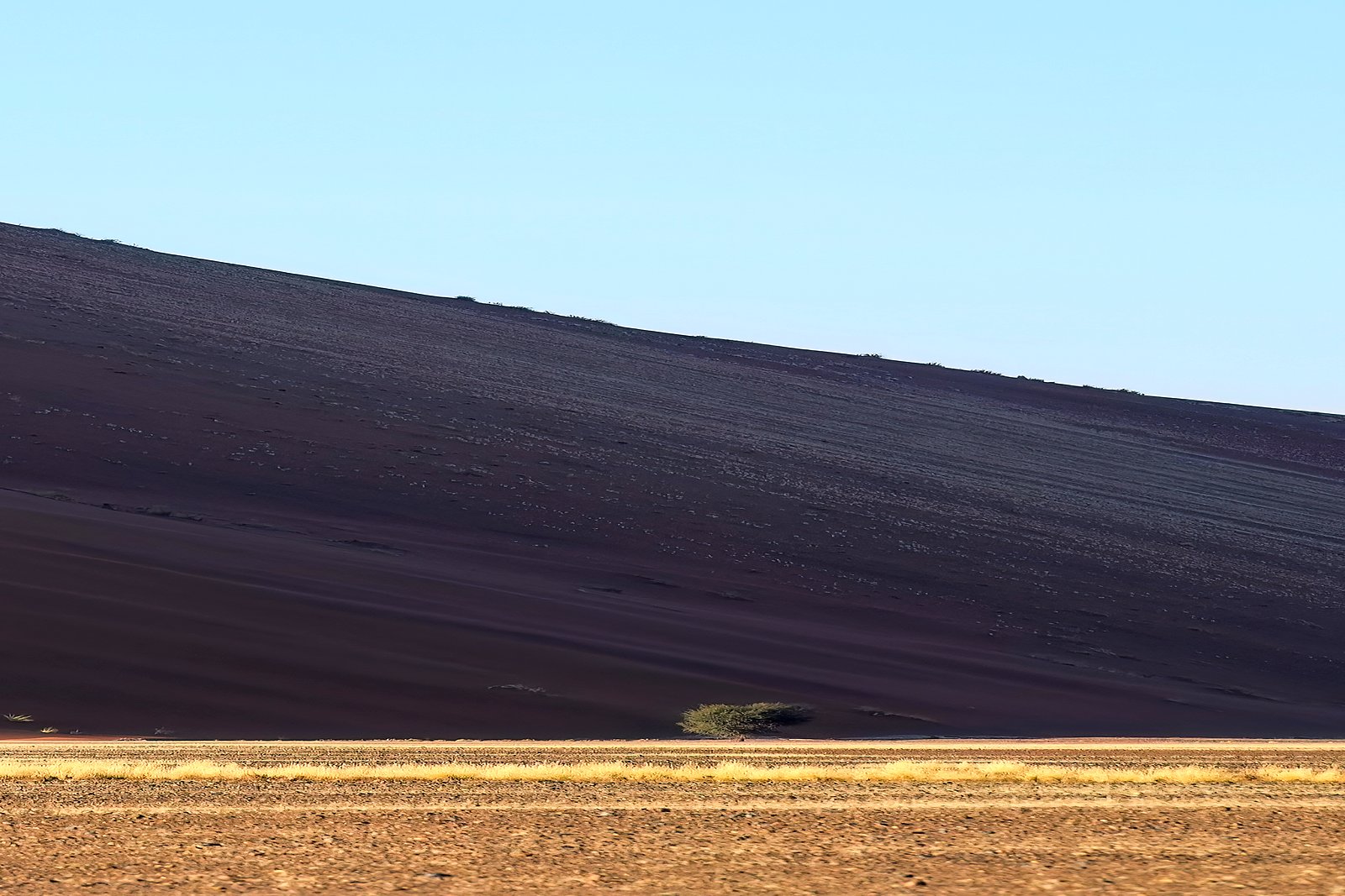 Golden light across the dunes of Sossusvlei in the Namib Desert
