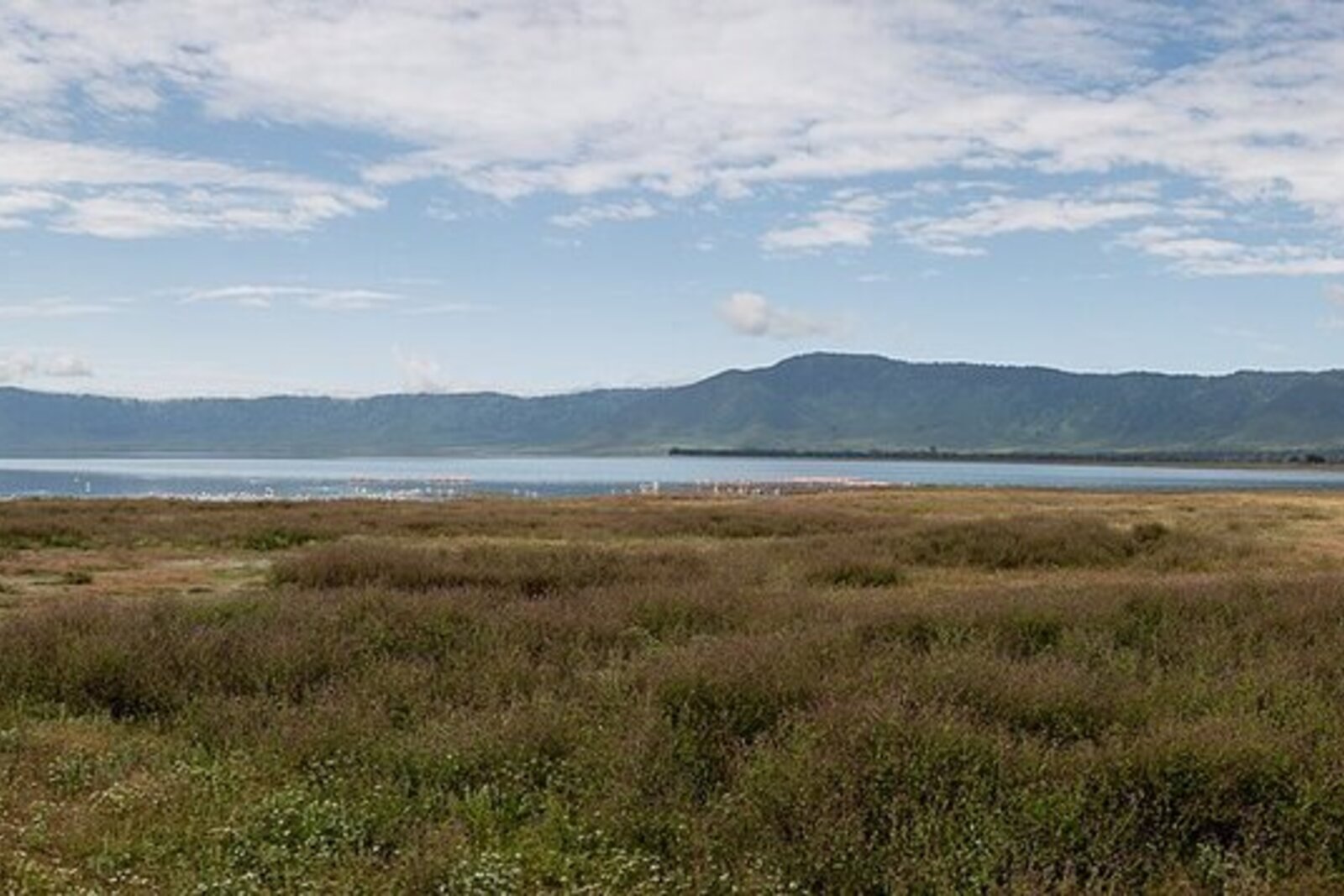 The Ngorongoro Crater floor on an all-inclusive Tanzania safari package