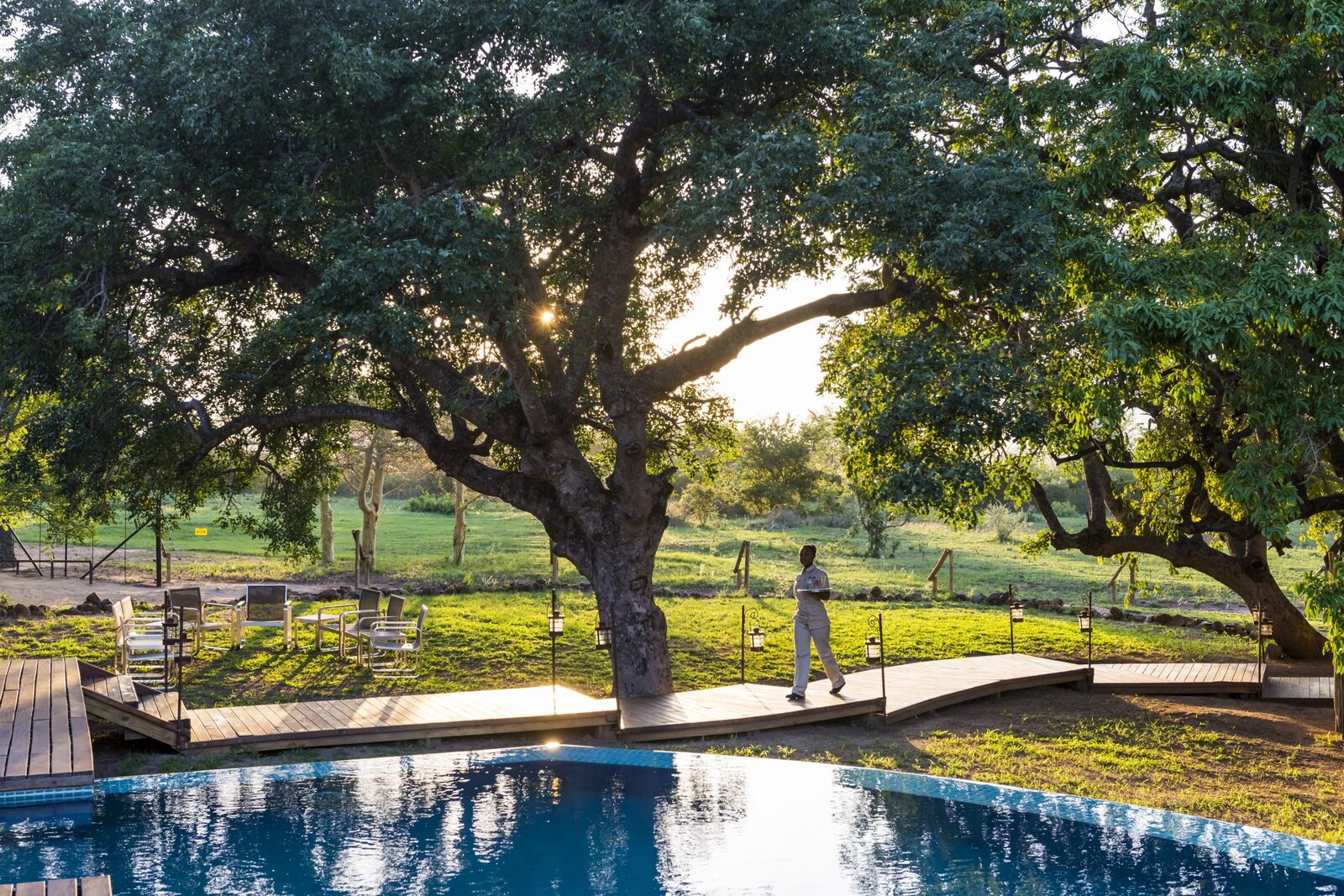 The rim-flow pool set among big trees with a boardwalk at AM Lodge, Klaserie