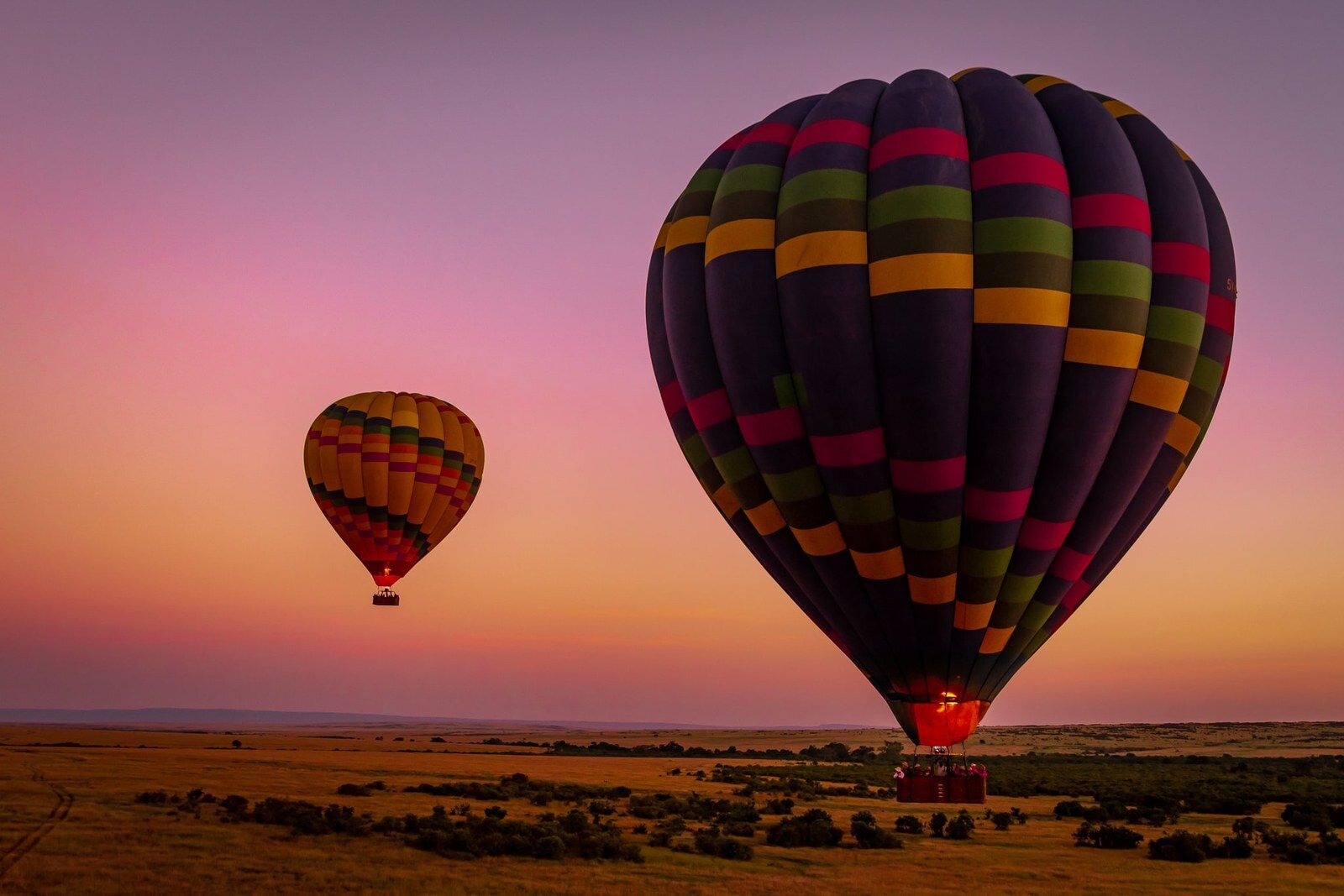 Hot-air balloons drift over the Masai Mara at pink dawn