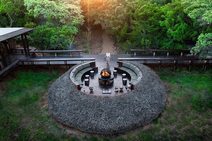&Beyond Phinda Forest Lodge — Design icon in the sand forest