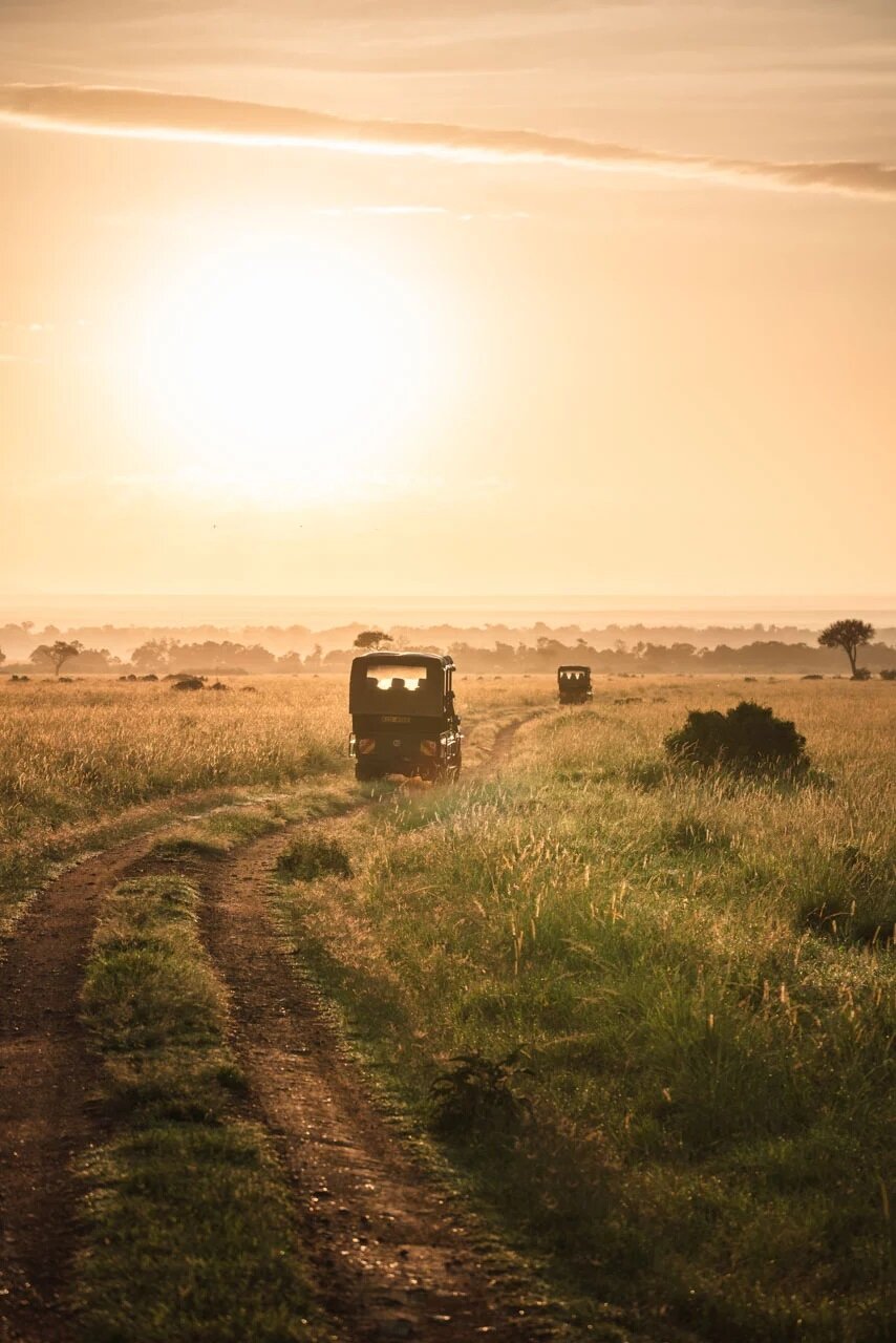 A game drive vehicle at sunrise on a track across the Maasai Mara plains below Angama Mara