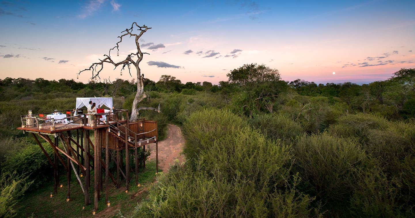 A luxury treehouse sleepout platform at Lion Sands under the African stars