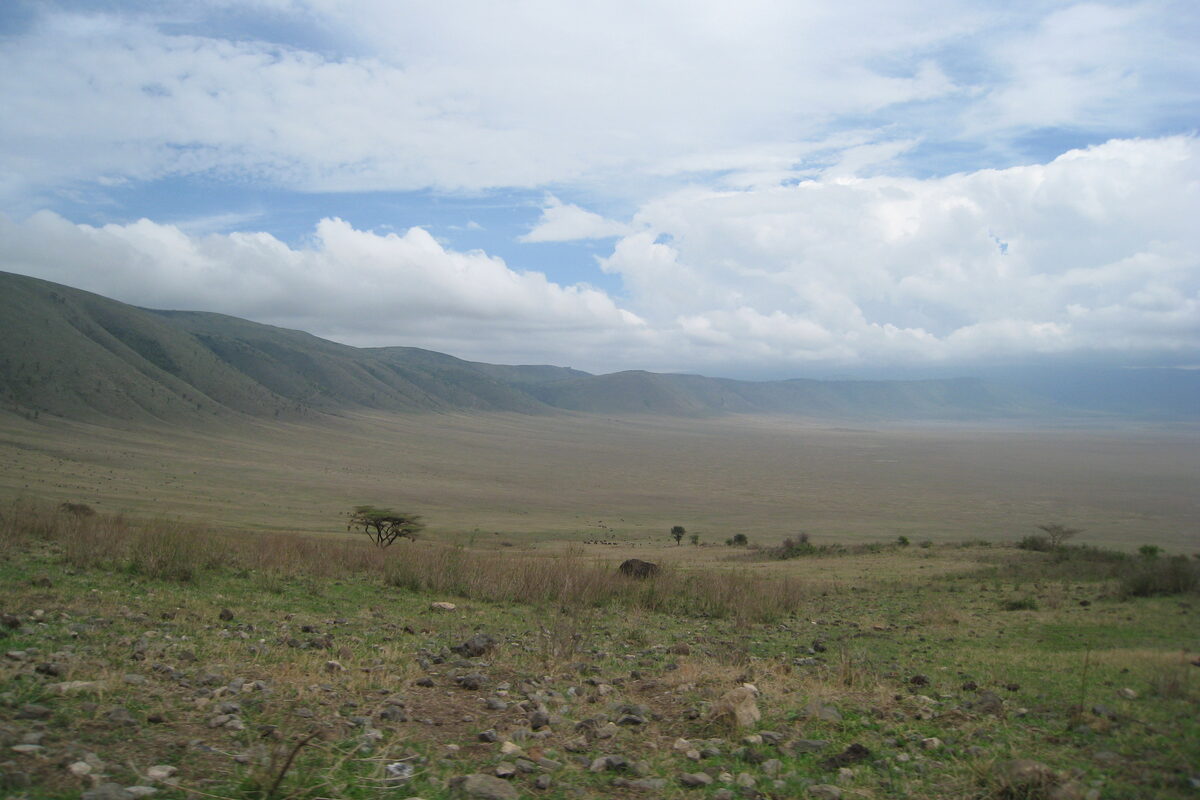 Lake Manyara Serena Safari Lodge escarpment views