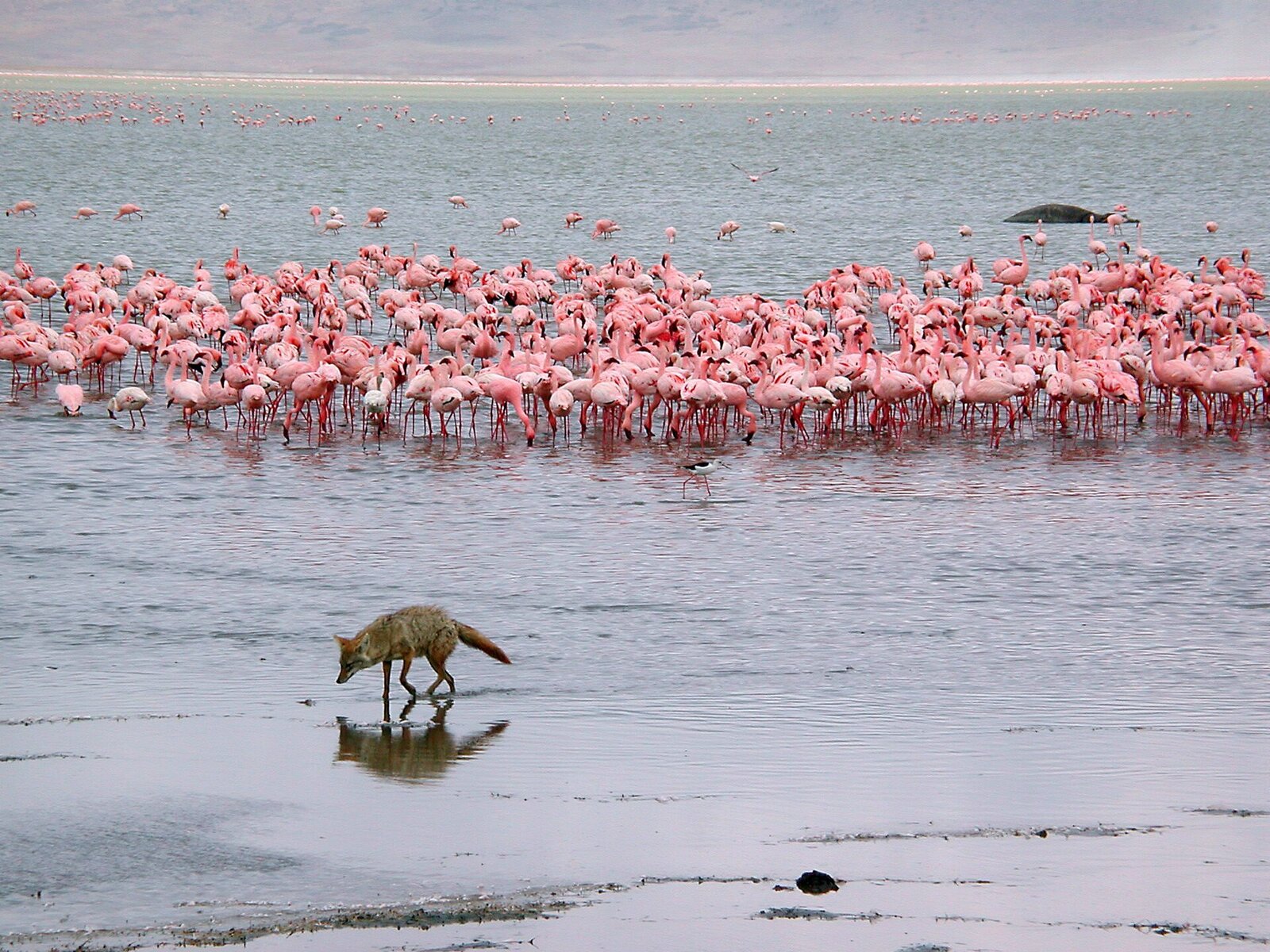 Lake Manyara Serena Safari Lodge overlooking the Great Rift Valley