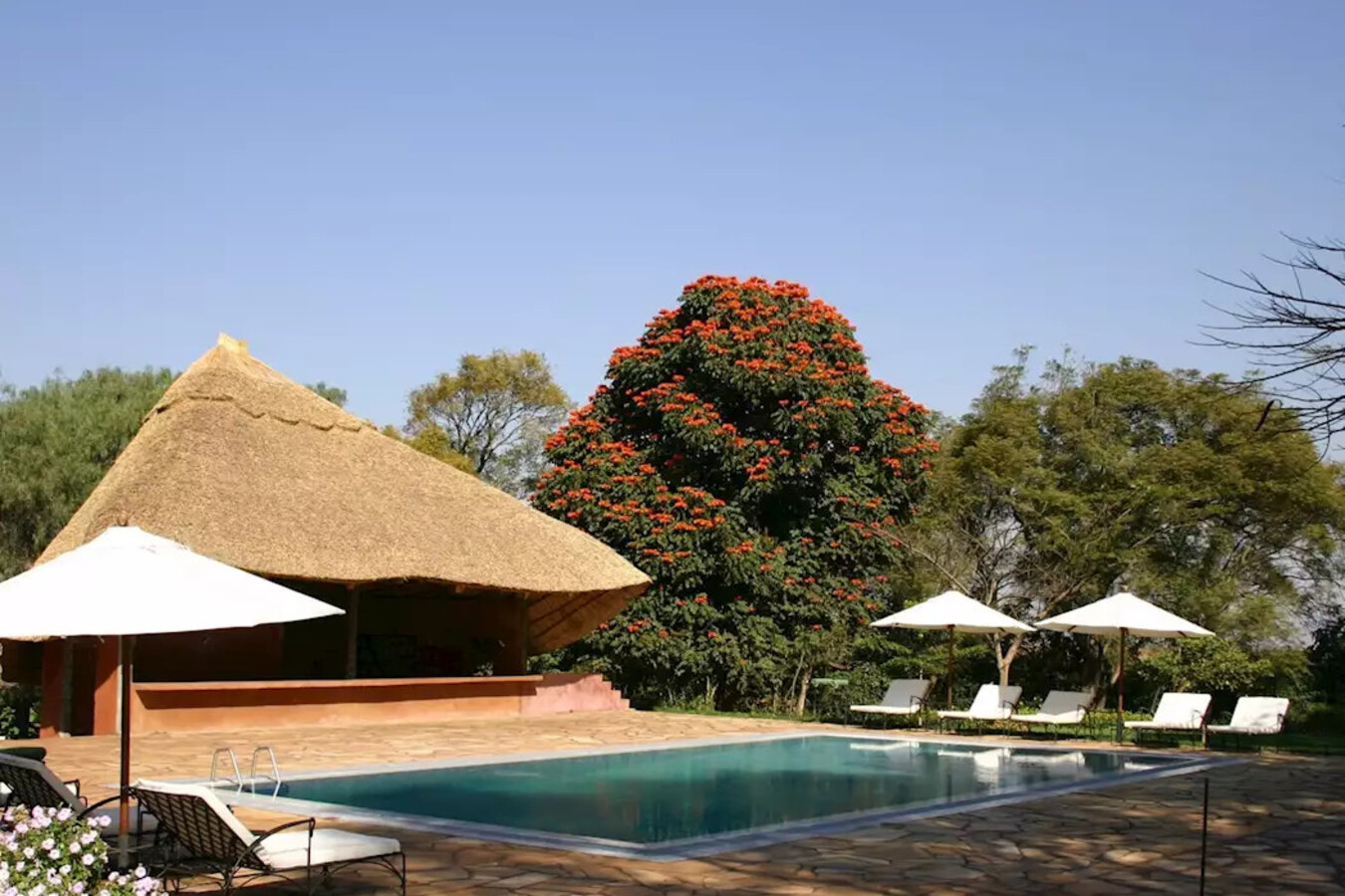 Ngorongoro Farm House swimming pool surrounded by lush Karatu gardens