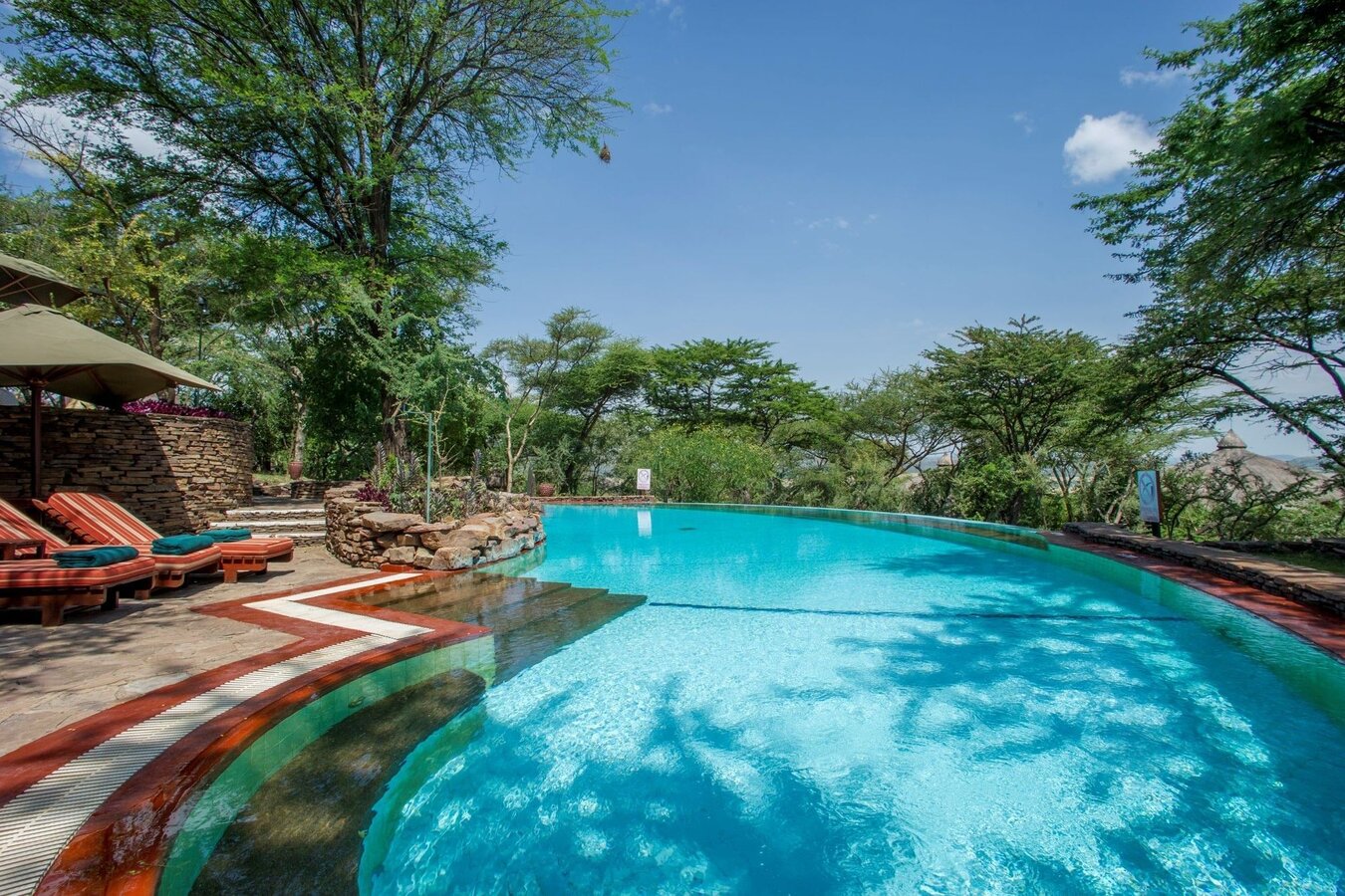 Serengeti Serena Safari Lodge swimming pool overlooking the Serengeti plains
