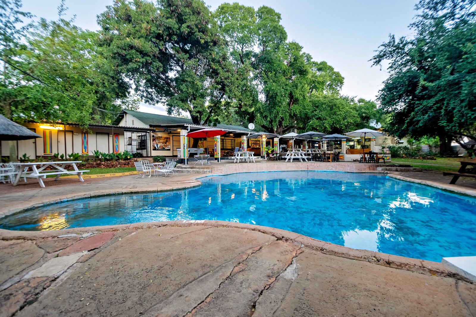 Swimming pool and loungers in the garden at Shoestrings Backpackers, Victoria Falls