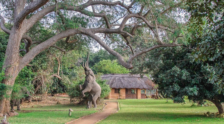 Kafunta River Lodge riverfront setting in South Luangwa