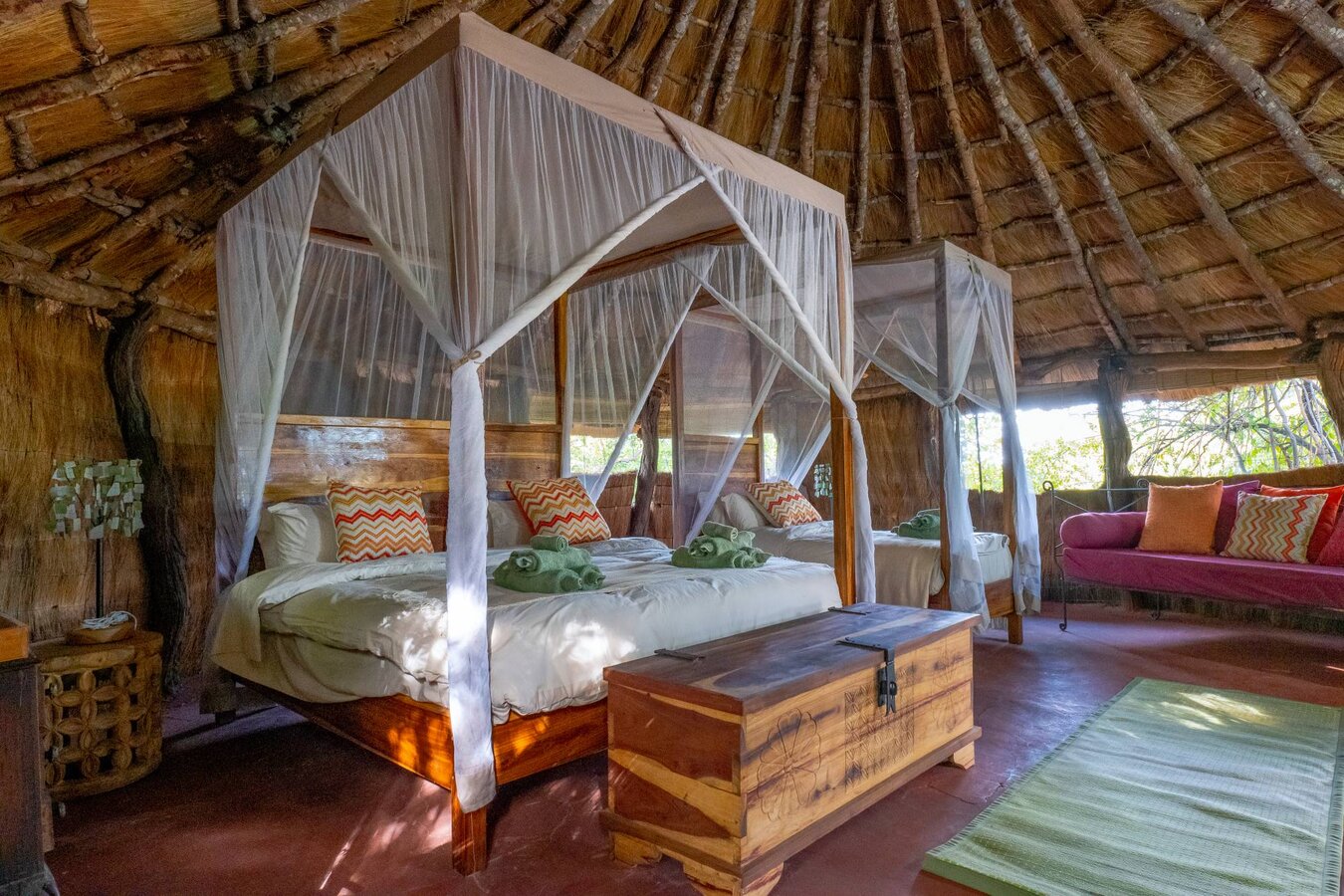 McBrides Camp red lechwe on the Kafue floodplains