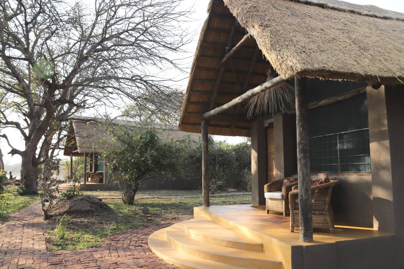 Thornicroft Lodge walking safari in the South Luangwa bush