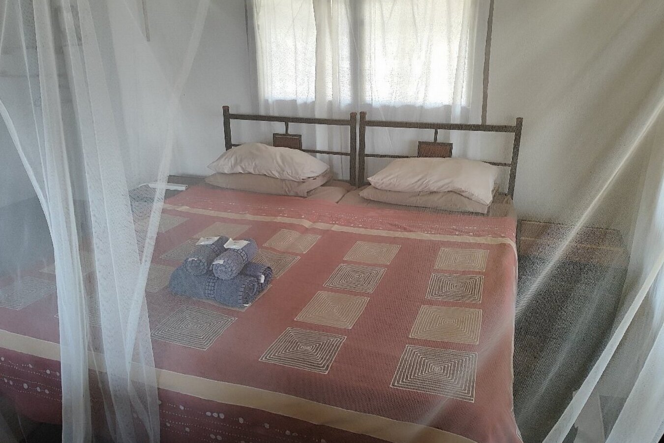 Wildlife Camp hippos on the Luangwa River at dawn