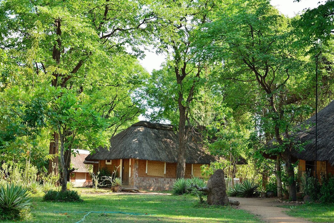 Wildlife Camp bush setting near South Luangwa National Park