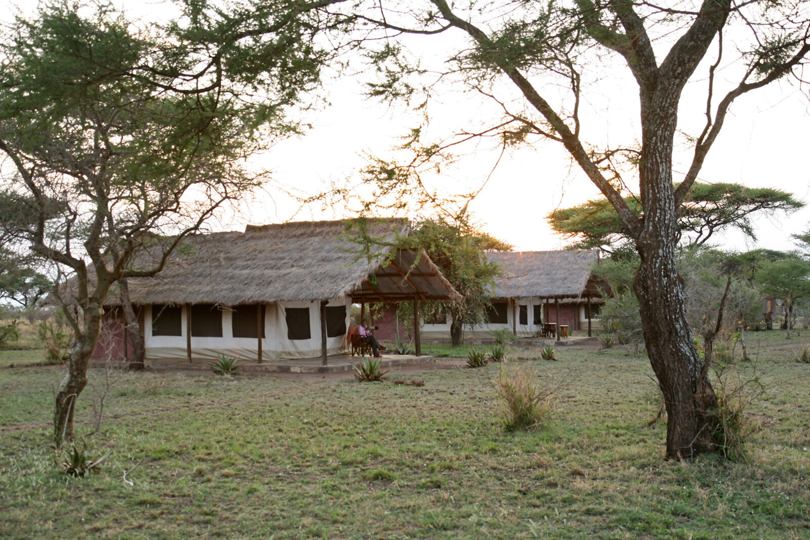 A romantic bush camp under acacia trees on a couples safari in Africa