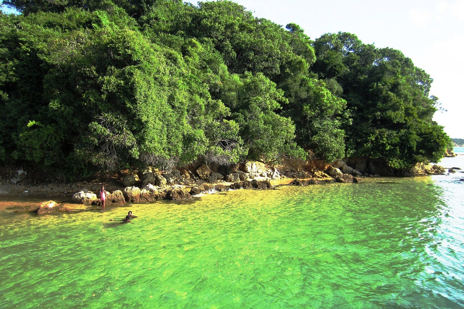 Clear green water and forested shoreline at Inhaca Island near Maputo, Mozambique