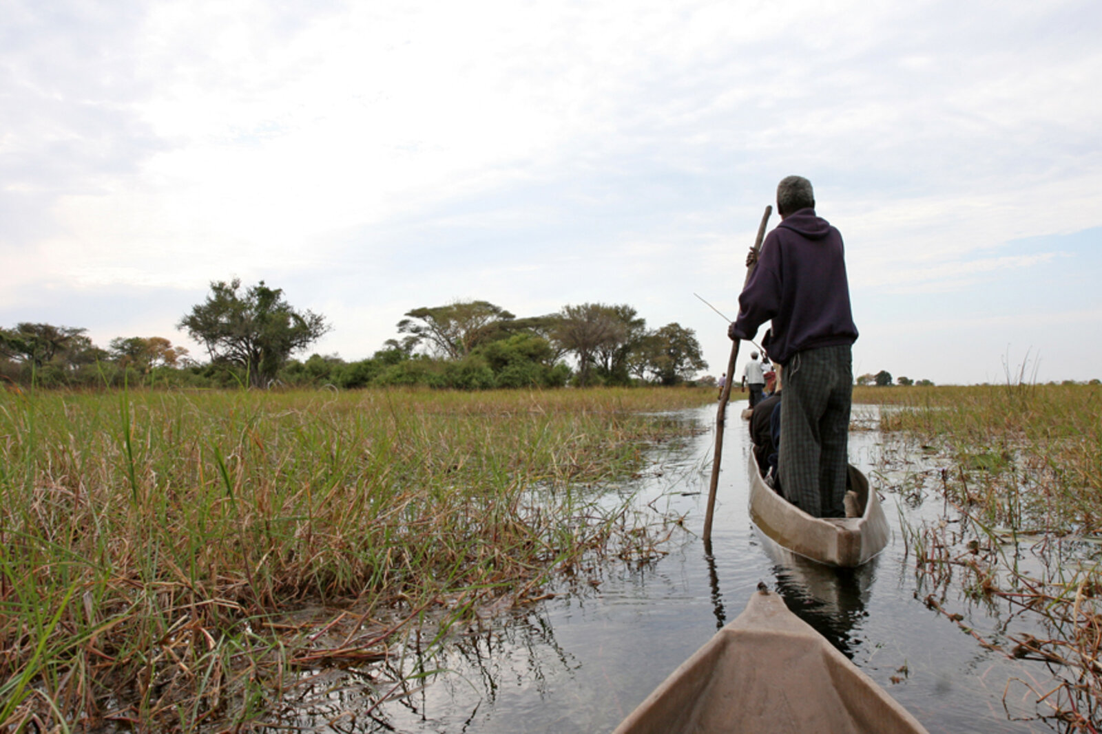 A mokoro dugout canoe gliding through the channels of the Okavango Delta