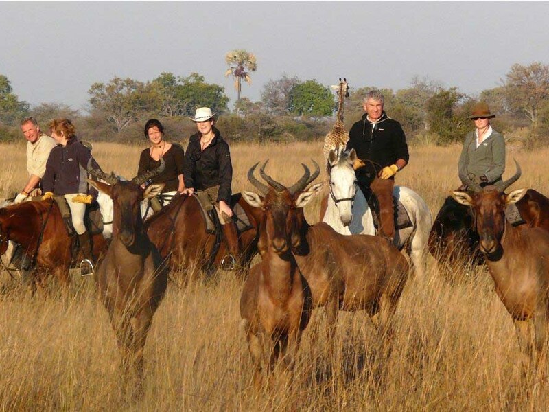 Riders cantering through Okavango Delta floodplains at African Horseback Safaris Macatoo Camp