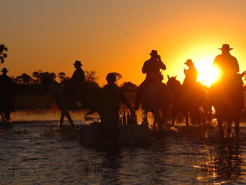 Horseback riders crossing papyrus-fringed channels in the Okavango Delta