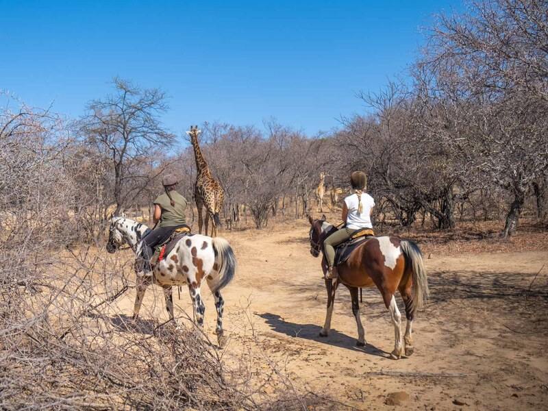 Horse riders on the open plains of Ant’s Nest private reserve in the Waterberg