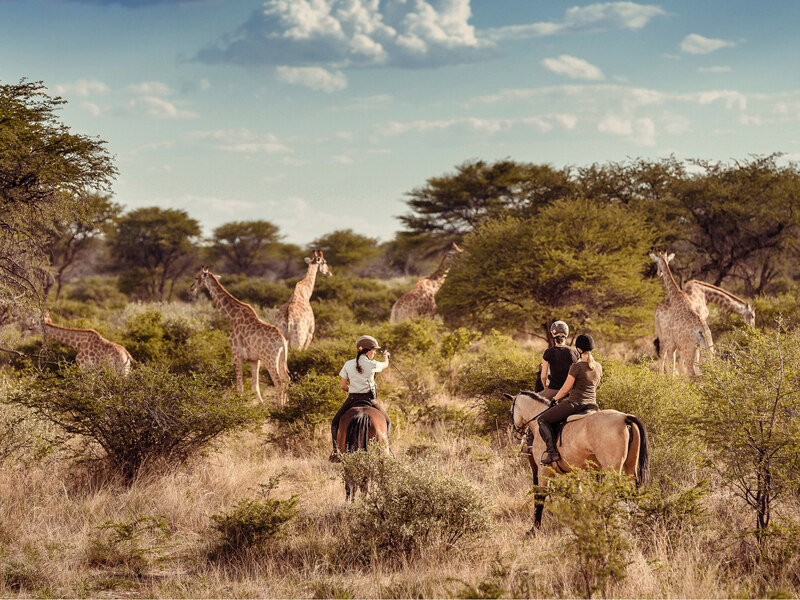 Giraffe encounter during a guided horseback ride at Kambaku Safari Lodge