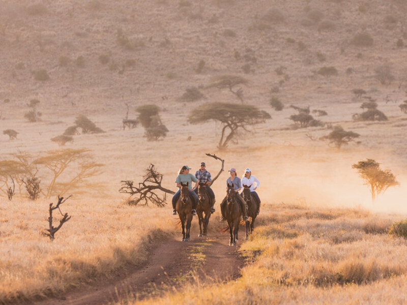 Lewa Wildlife Conservancy highlands landscape stretching towards Mount Kenya