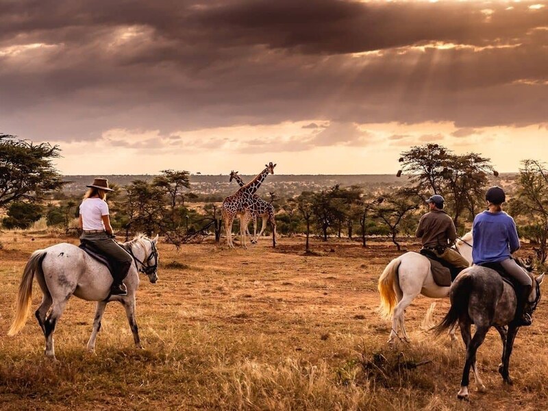Golden light over the Masai Mara landscape during an Offbeat riding expedition